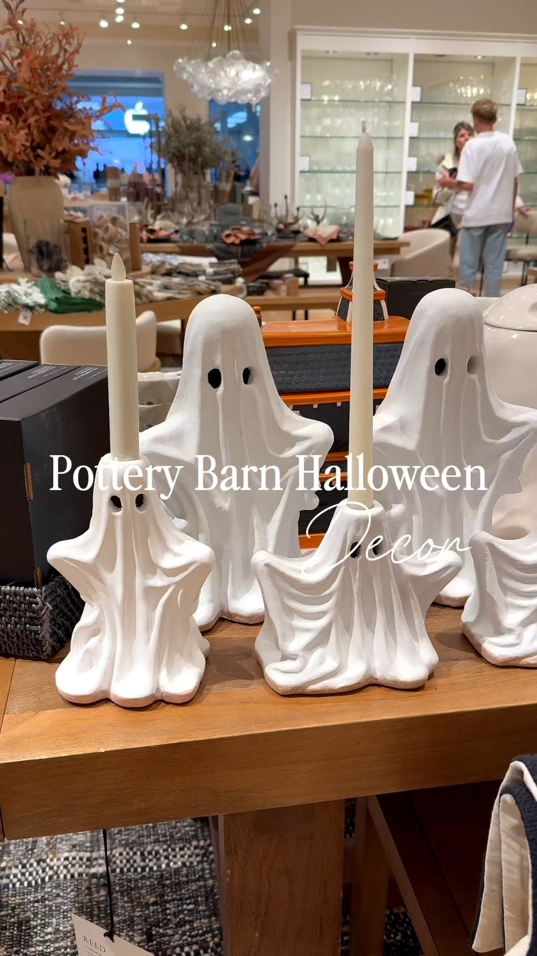 All of these Halloween Decor items are ON SALE NOW from Pottery Barn! I’ve linked them down below!

#LTKHalloween #LTKSeasonal #LTKHoliday