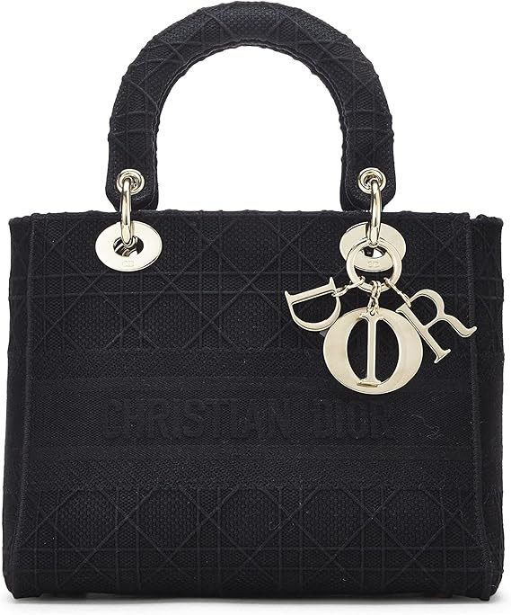 Amazon.com: Dior, Pre-Loved Black Embroidered Canvas Lady D-Lite Medium, Black : Luxury Stores | Amazon (US)