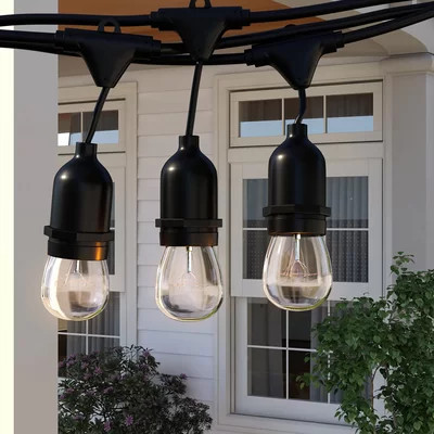 50ft Patio String Light, Waterproof, 24 Sockets, 36 Bulbs Included, E26 Base, For Festivals, Garden | Wayfair North America