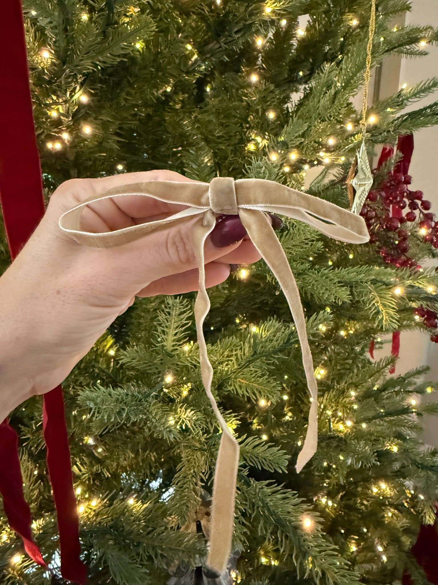 Pre-made velvet bows perfect to add to your Christmas tree! So many colors to choose from! 

#LTKSeasonal #LTKHome #LTKStyleTip