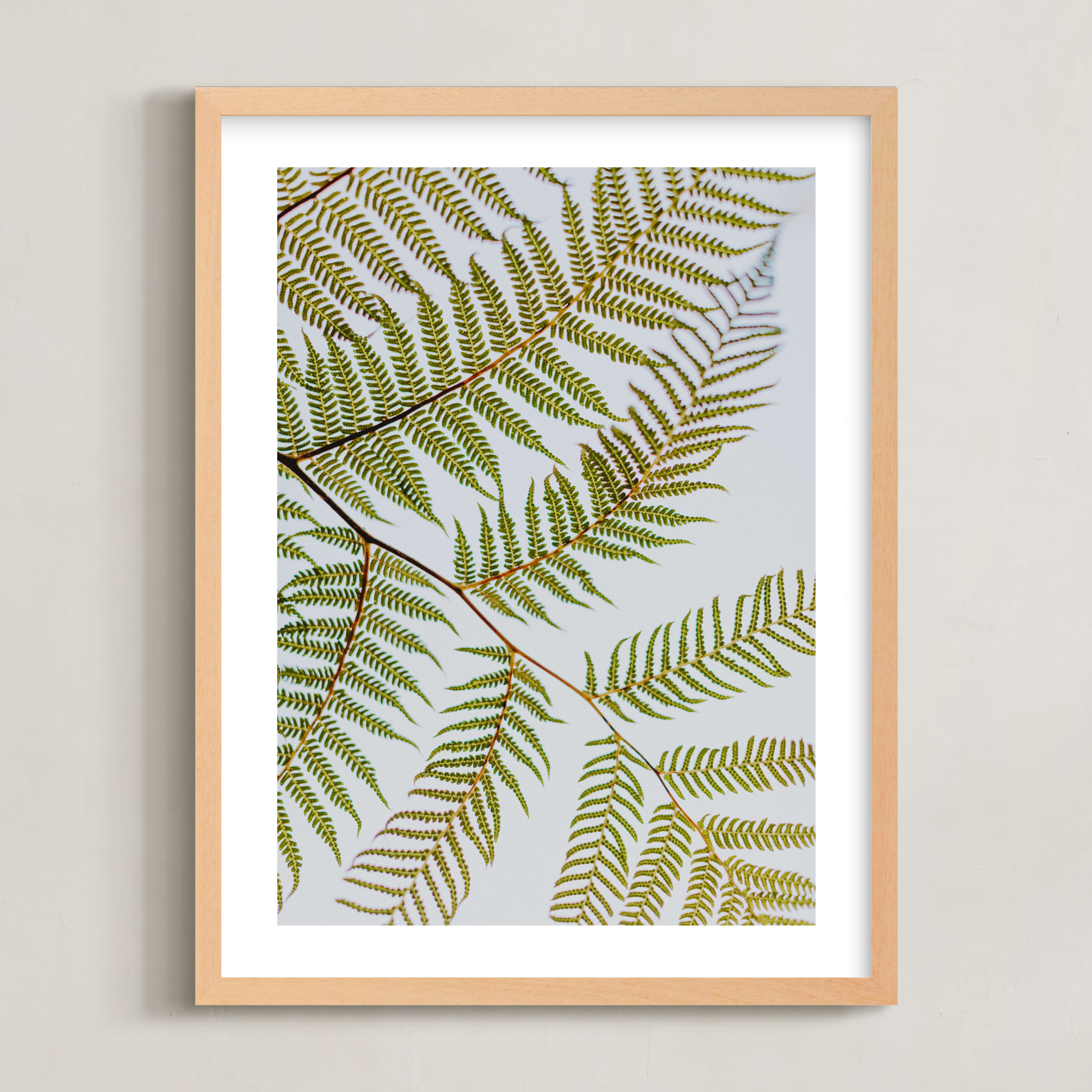 "Synthesis" - Photography Limited Edition Art Print by Shannon Terrell. | Minted