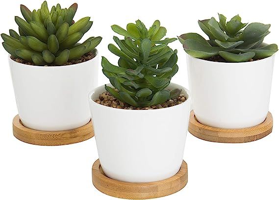 MyGift Artificial Echeveria Pachyphytum Succulent Plants in White Ceramic Pots with Bamboo Trays,... | Amazon (US)