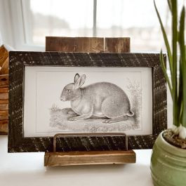 Rustic Framed Vintage Short Ear Bunny Wall Art | Antique Farm House