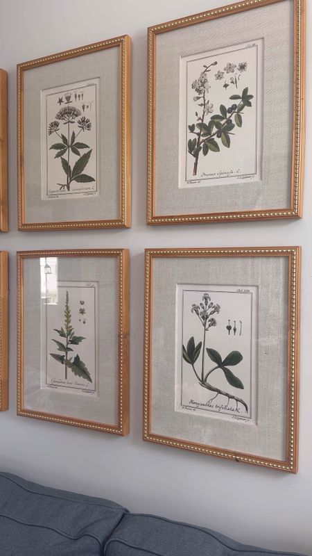 Framed botanical prints set of 6 ✨ The details on the mat and frame really set these apart!

#LTKHome