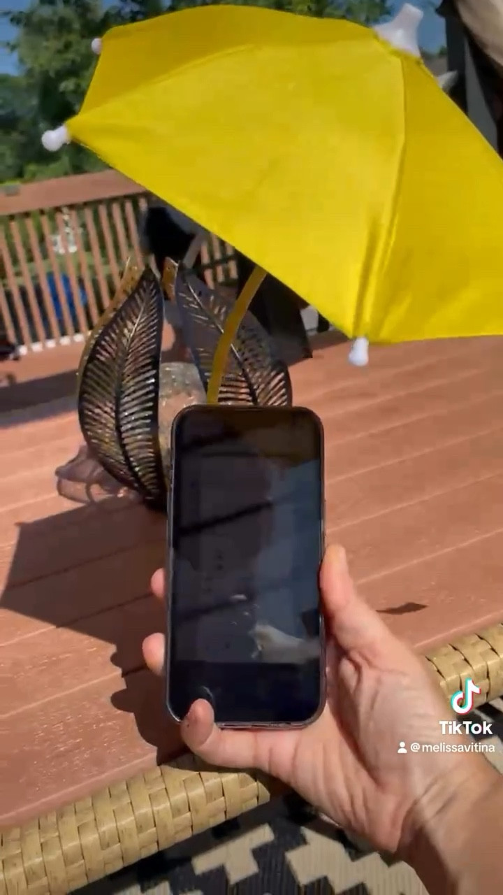 Say goodbye to squinting at your phone in the sun & risking getting 11 lines between your brows!! ☀️ {link in bio} #gadget #gadgets #tech #techtok #technology  #foryoupage #foryourpage #byebyewrinkles #sunnyday #phonegadget #cool #fyp
#amazon #amazonfinds #amazonshopping @Amazon