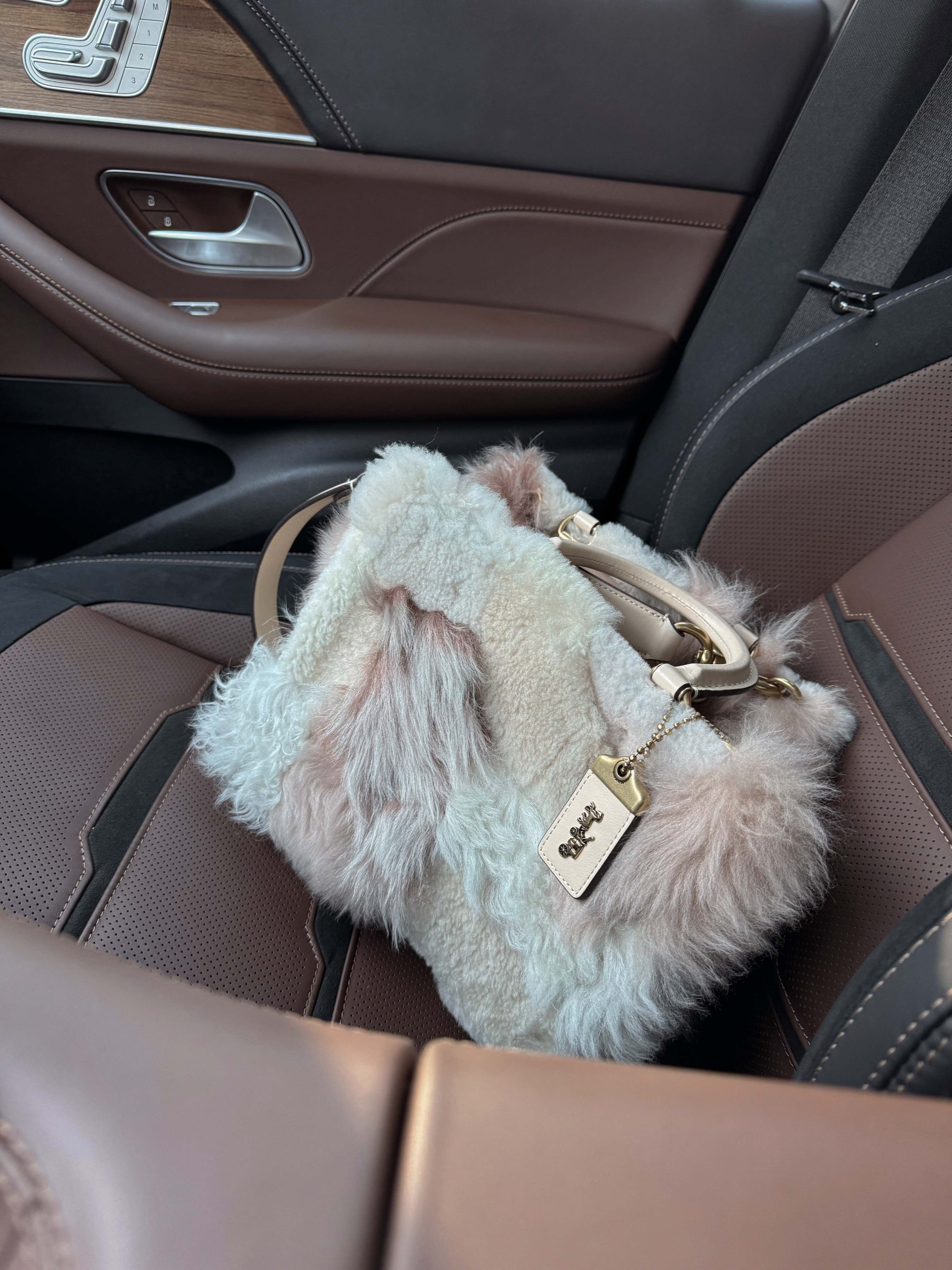 Purse of the season ✨

#coach #gift #coachbag #purse  

#LTKItBag #LTKCyberWeek #LTKGiftGuide