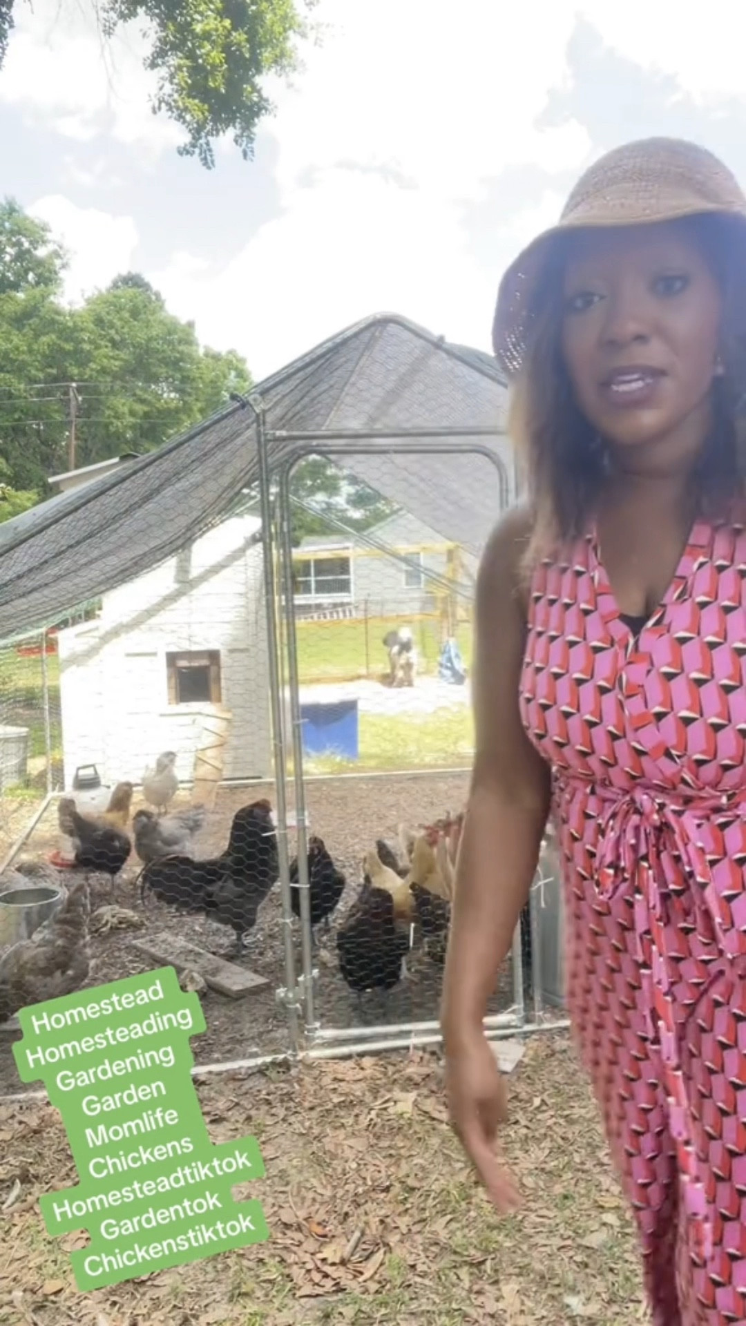 Love this chicken coop run from Wayfair! It’s helped us as we are letting our chickens free range sometimes and still keep them more secure with the run. #homestead #homesteadtiktok #chickens #chickensoftiktok #chickencoop #chickenrun #wayfair #home #homemakers #homemaker 

#LTKxWayDay #LTKHome