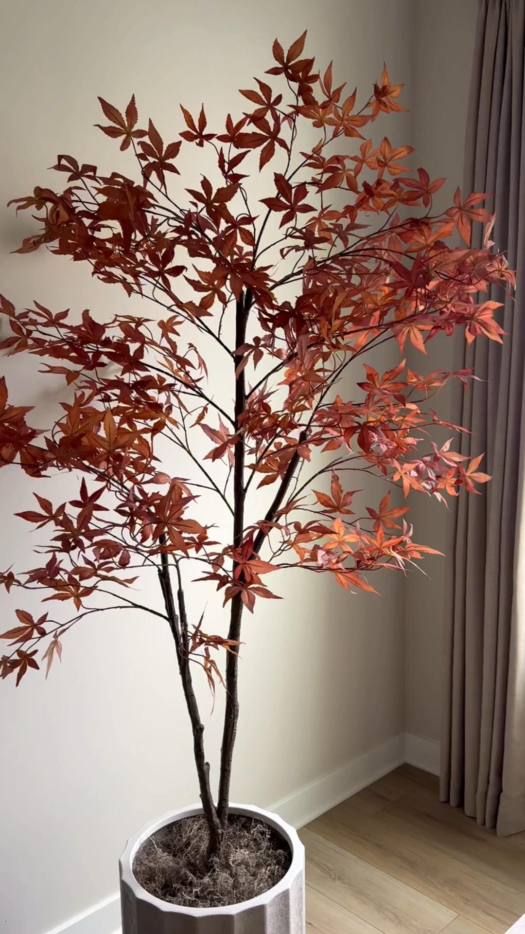 Faux Japanese maple, faux maple, fall tree, autumn tree, faux tree, fall living room

#LTKSeasonal #LTKHome #LTKSaleAlert