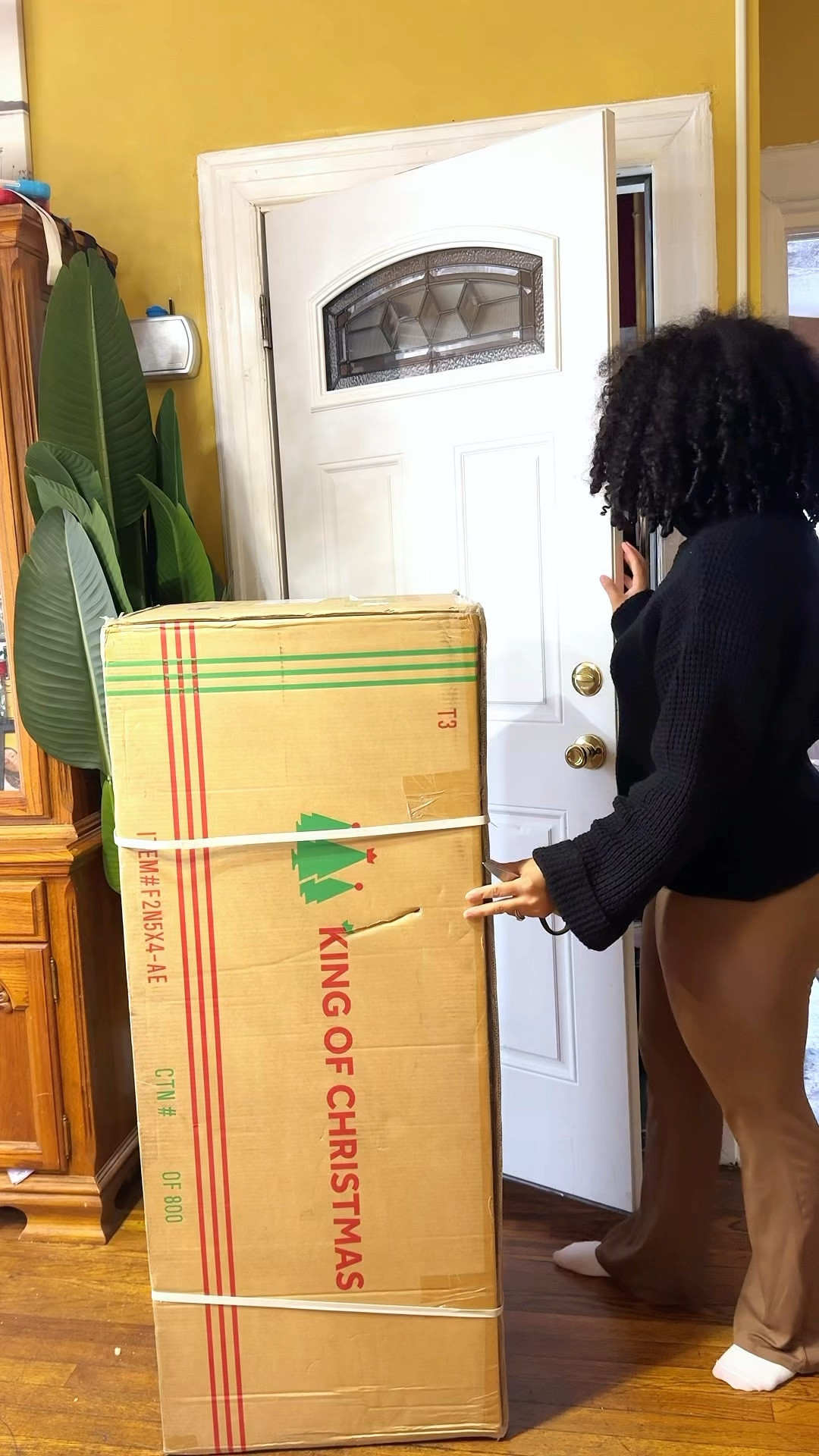 Can’t wait to show yall our Christmas Tree!!!


#LTKFamily #LTKSaleAlert #LTKHoliday