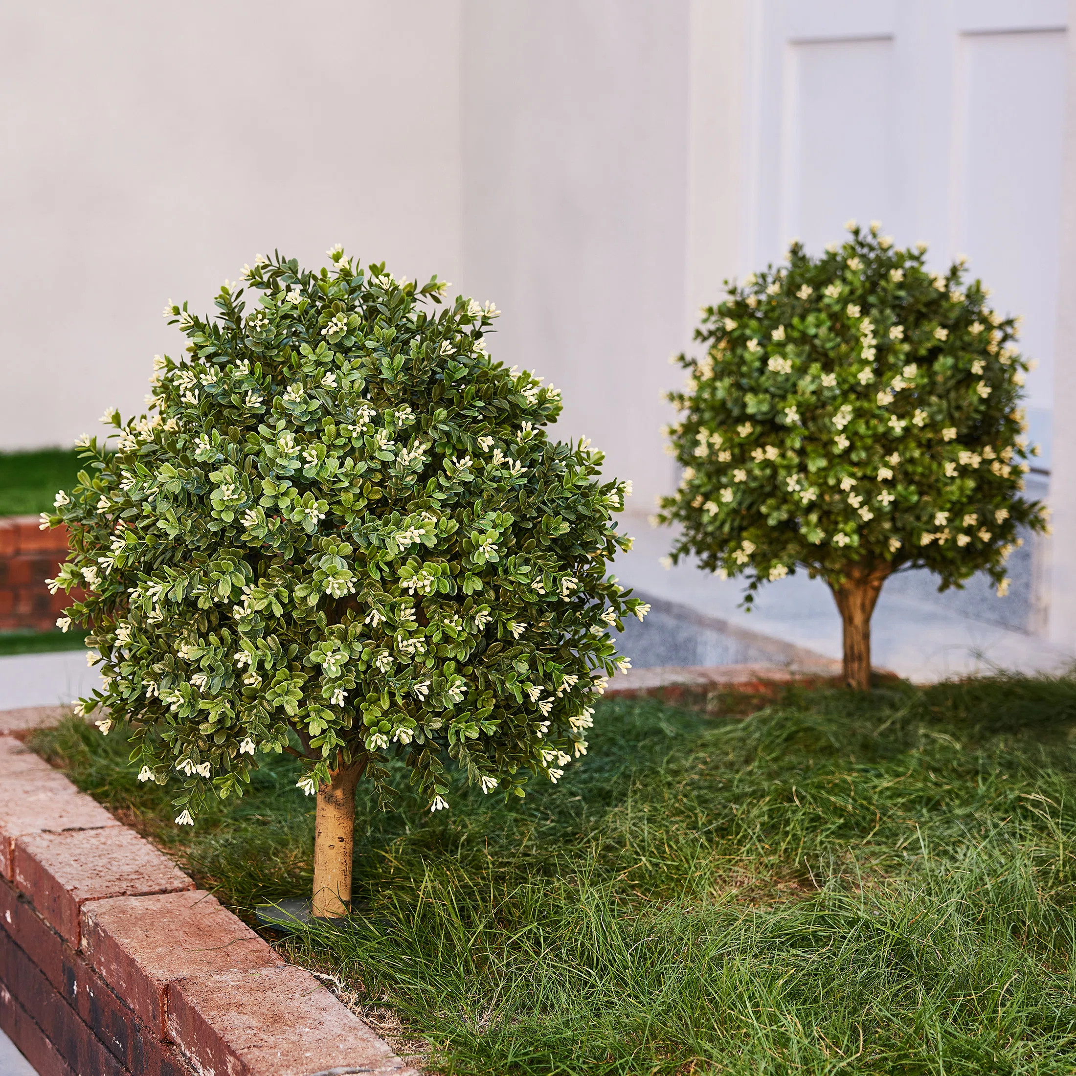 Adcock Artificial Osmanthus Topiary Ball Tree With White Flowers & Ground Spike - UV Resistant Fa... | Wayfair North America