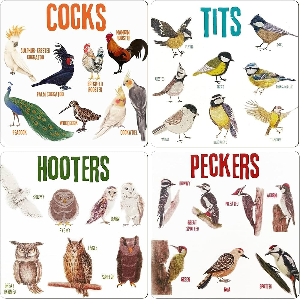 Set of 4 Bird Pun Coasters, Bird Pun Coasters for Drinks, Square Coaster Set for Cups Home Funny ... | Amazon (US)