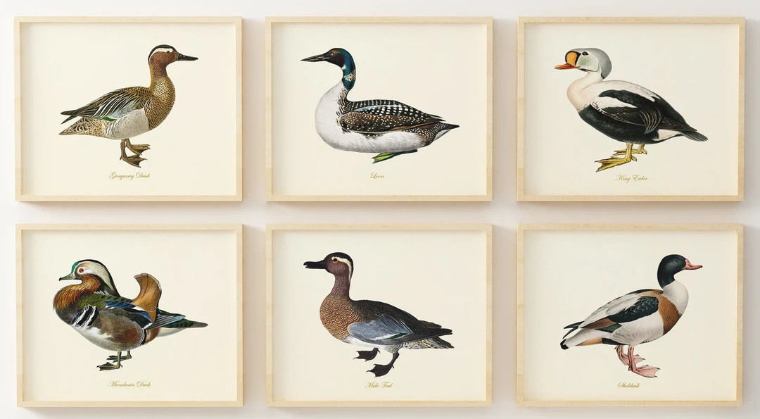 Duck Art Bird Wall Art Waterfowl Paintings Giclee Wall - Etsy | Etsy (US)