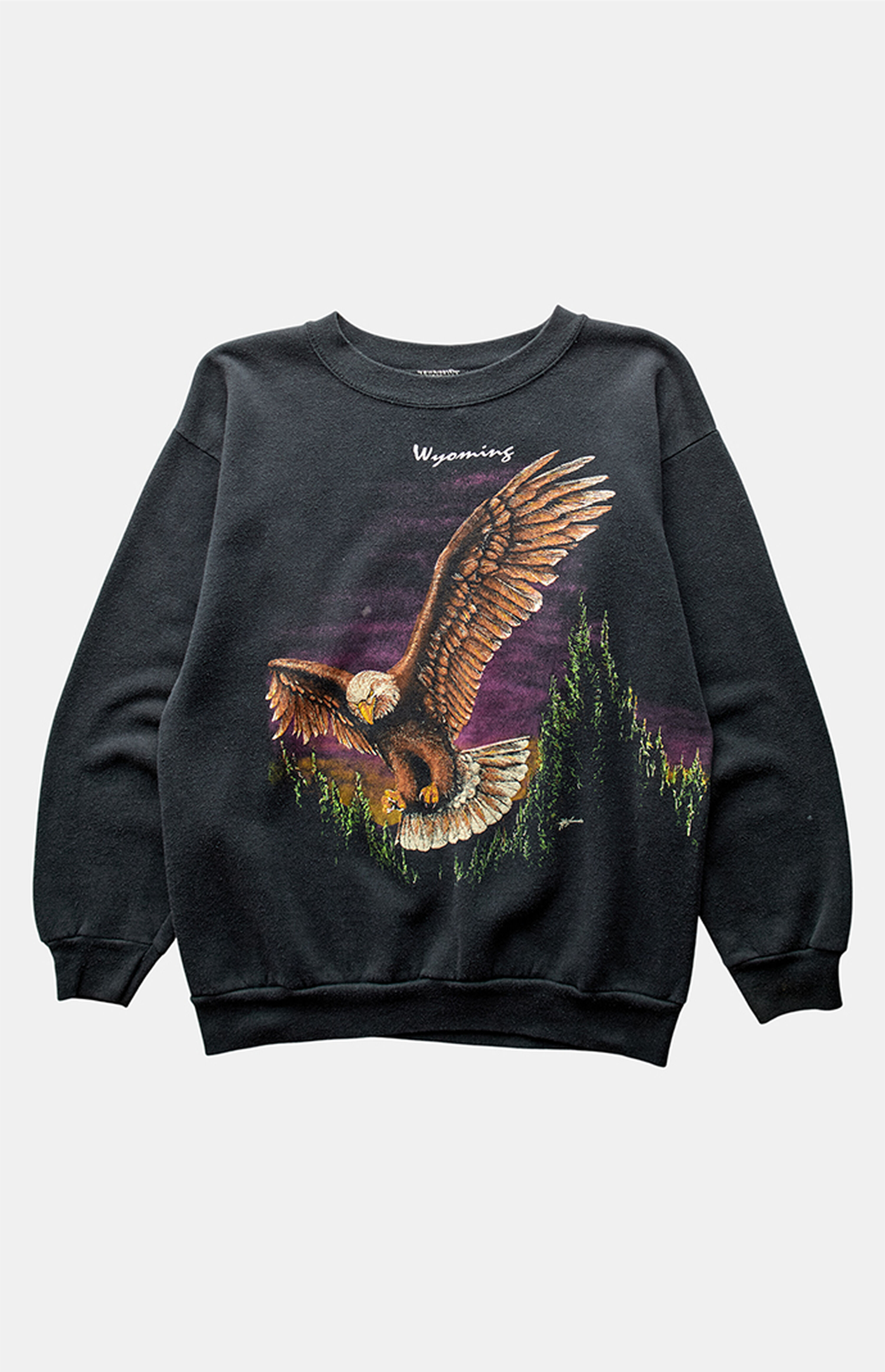 PS VINTAGE 90s Wyoming Eagle Crew Neck Sweatshirt | PacSun