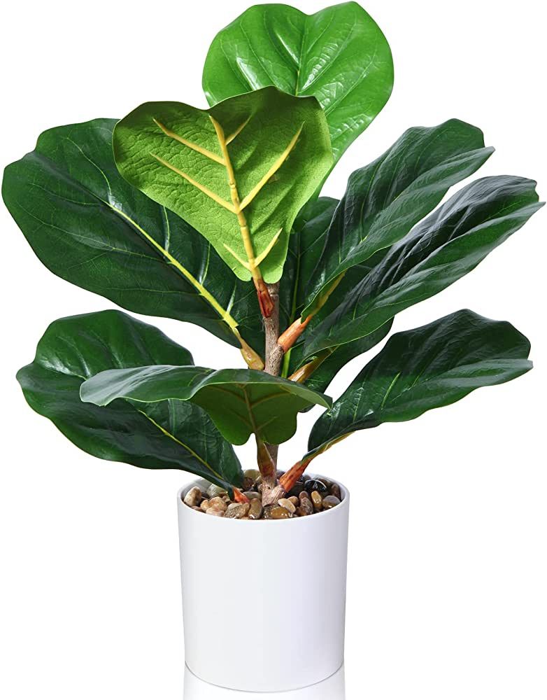 Kazeila Artificial Fiddle Leaf Fig Tree Fake Ficus Lyrata Plant 16 Inch Faux Desk Plant for Indoo... | Amazon (US)