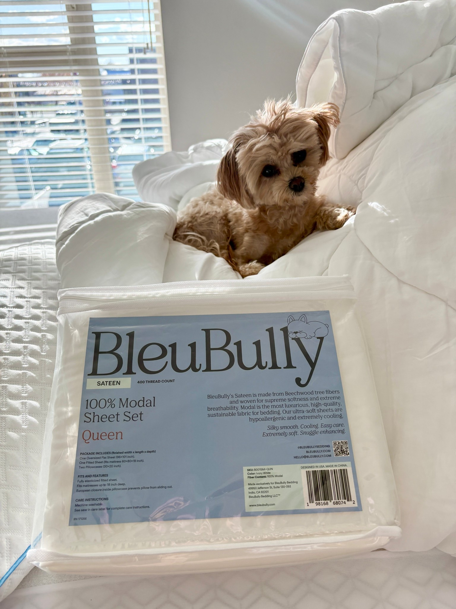 how to give the best sleep to your fur baby 🤎 @BleuBully Bedding 

#LTKselfcare #LTKHome
