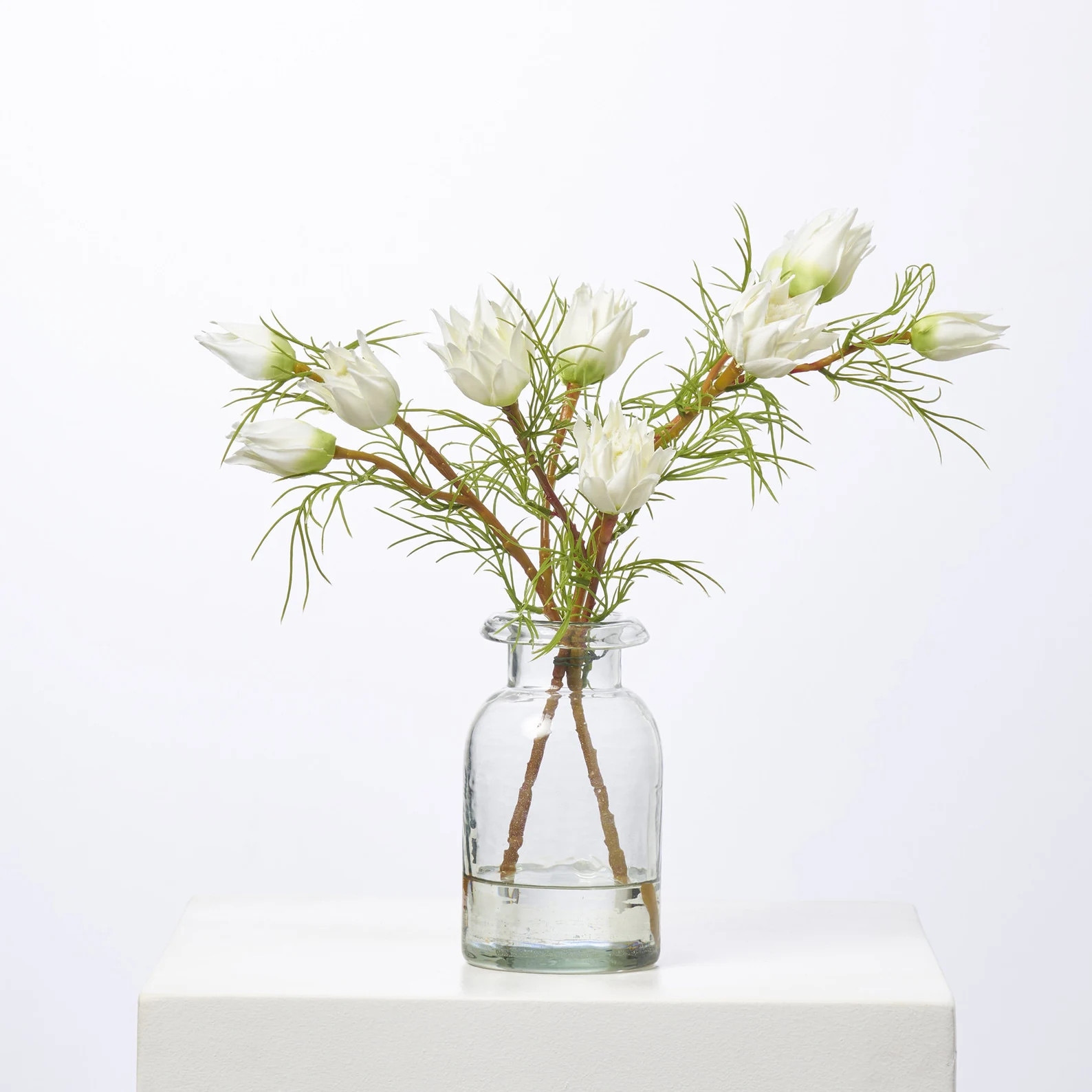 Mini White Protea Buds & Blooms in Small Clear Bottle Vase Everyday Spring Water Illusion Arrange... | Etsy (Global)