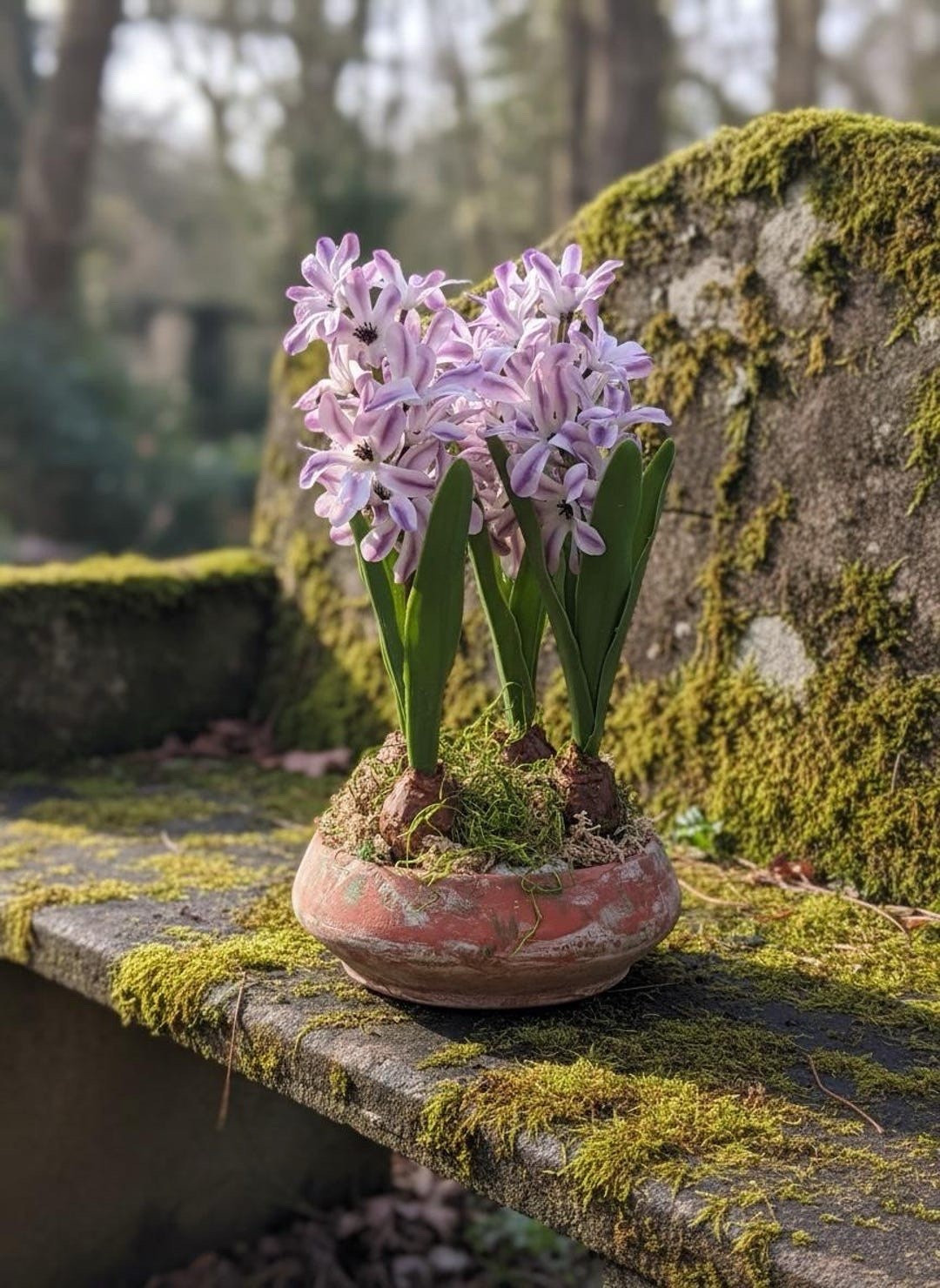 Bring timeless spring beauty into your home with this handcrafted hyacinth bulb arrangement by Bear Pass Studio. Designed in a weathered moss-toned clay pot and finished with preserved reindeer moss and super moss, this realistic display captures the charm of freshly planted bulbs without the maintenance. Measuring 7” x 12”, the artisan-crafted piece adds elegant texture to mantels, entry tables, or spring centerpieces and is thoughtfully made to last for years. #springdecor #hyacinth #homedecorfinds #ltkhome #farmhousestyle #seasonaldecor #artisandecor 

#LTKHome #LTKSeasonal
