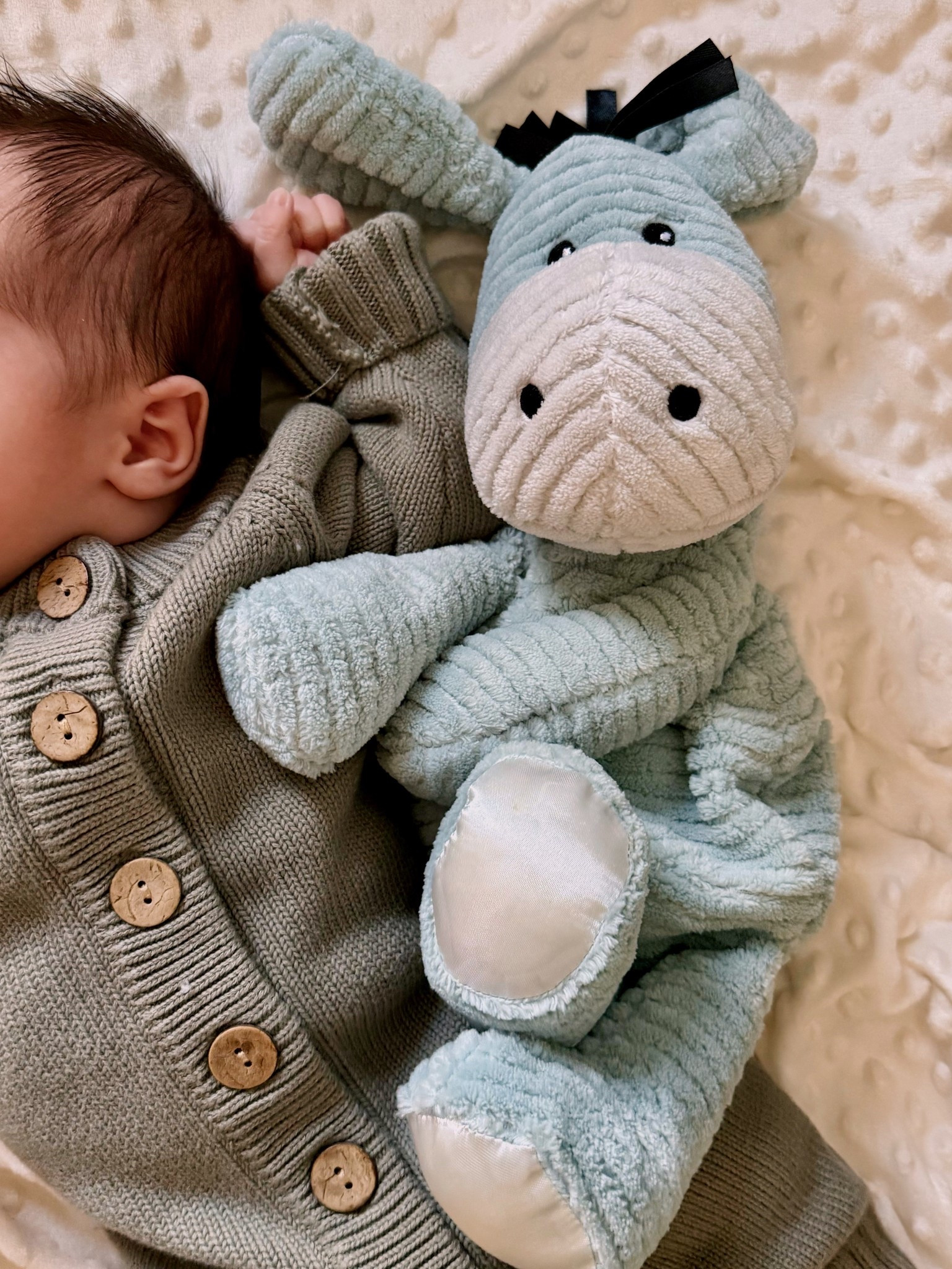 newborn snuggles complete with the comfiest sweater romper and the sweetest eeyore warmies 

#LTKdayinmylife #LTKmomlife #LTKBaby