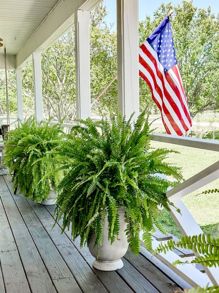 Spring porch refresh! These are some of my favorite things to keep ferns looking green and beautiful! #springrefresh #frontporch #springporch #ferns #planters #walmartfinds

#LTKhome #LTKSeasonal