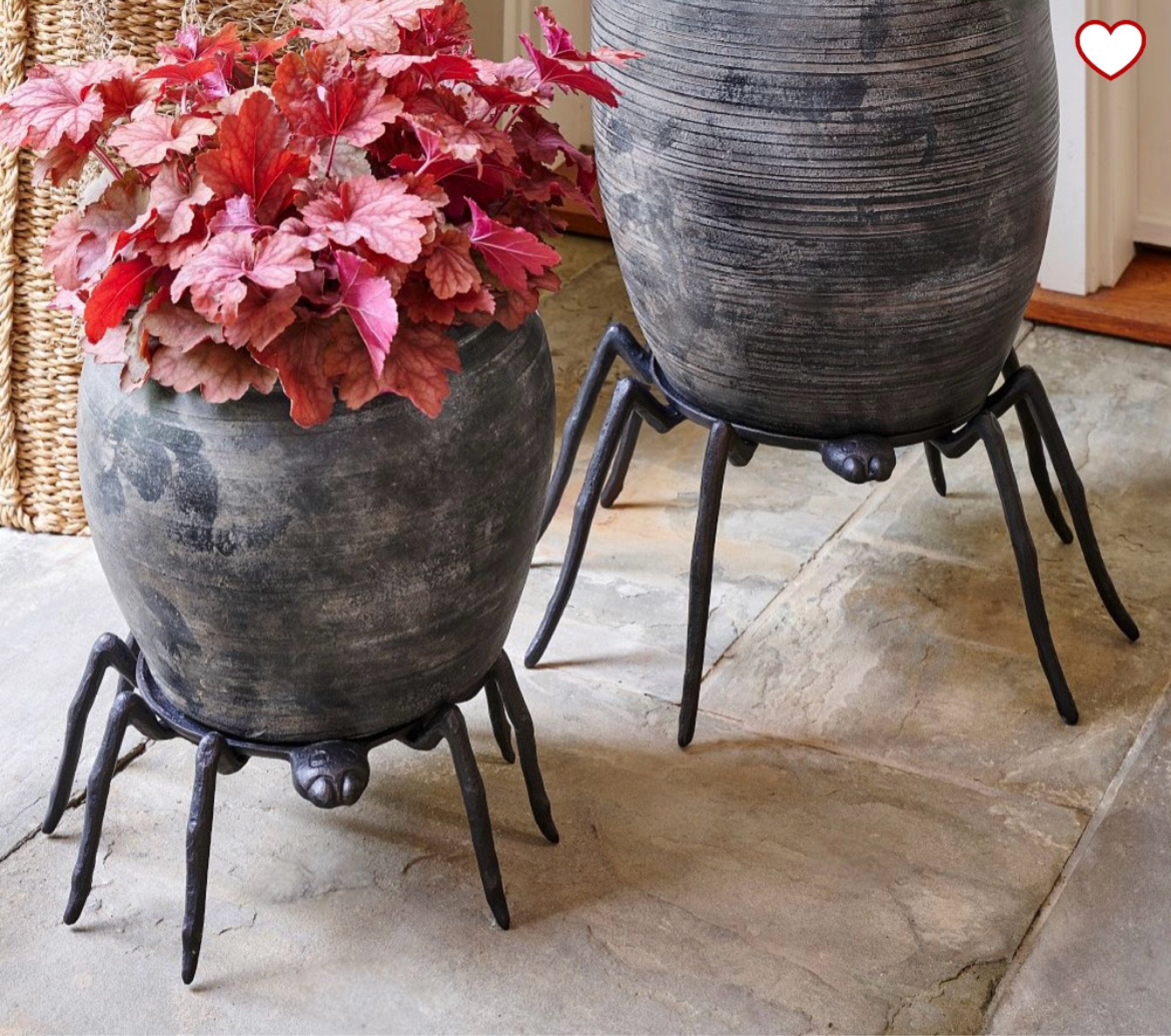metal spider planters, halloween porch decor, fall decorations, plant mom

#LTKSeasonal #LTKHome #LTKFindsUnder100