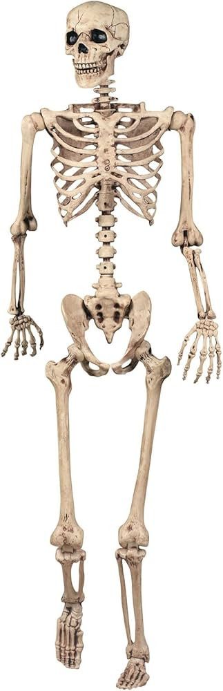 Halloween Decoration Skeleton Poseable Decoration Life Size 165cm Party Prop Graveyard Bones, Whi... | Amazon (UK)