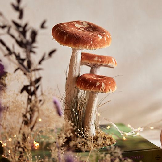 Velvet Mushrooms, Set of 3 Large | Terrain