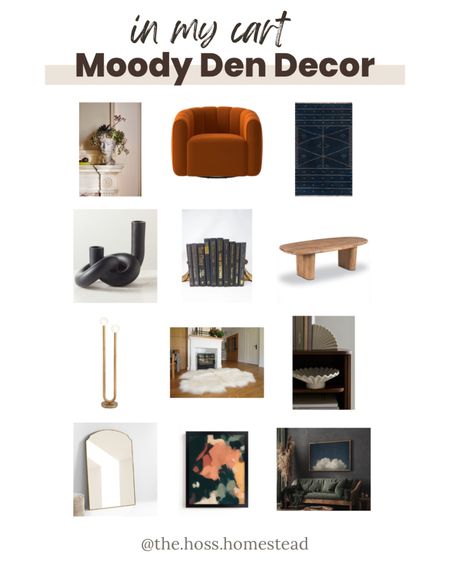 Our first project of 2024 is finishing the Murphy bed build and a decorating update on the den.  Currently in my cart: midnight blue rugs,  moody art,  neutral decor and sculptural accent pieces 

#LTKhome