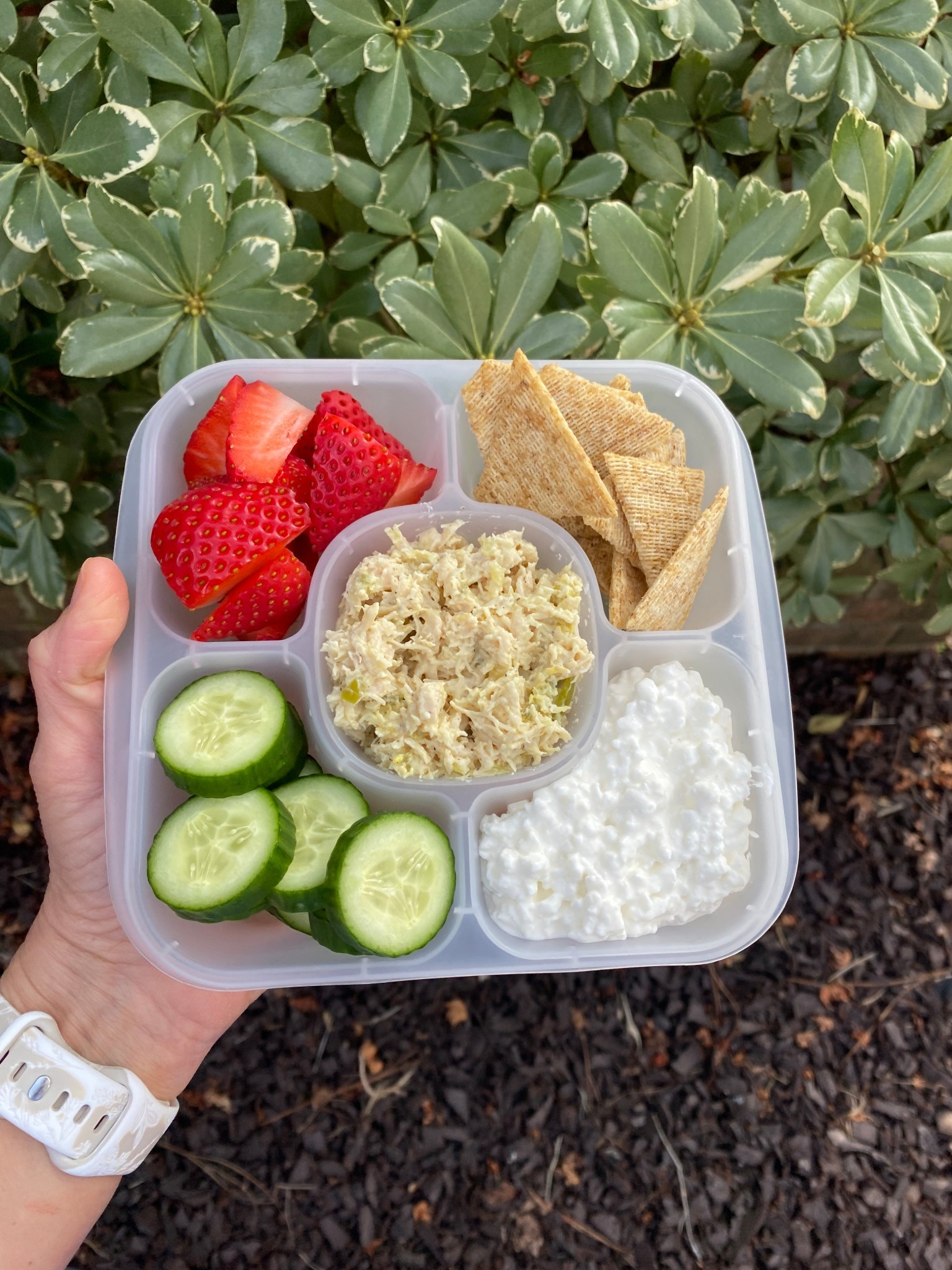 Lunch on the go with this 5 compartment container! This is my favorite container for snacks! 

#LTKHome #LTKdayinmylife