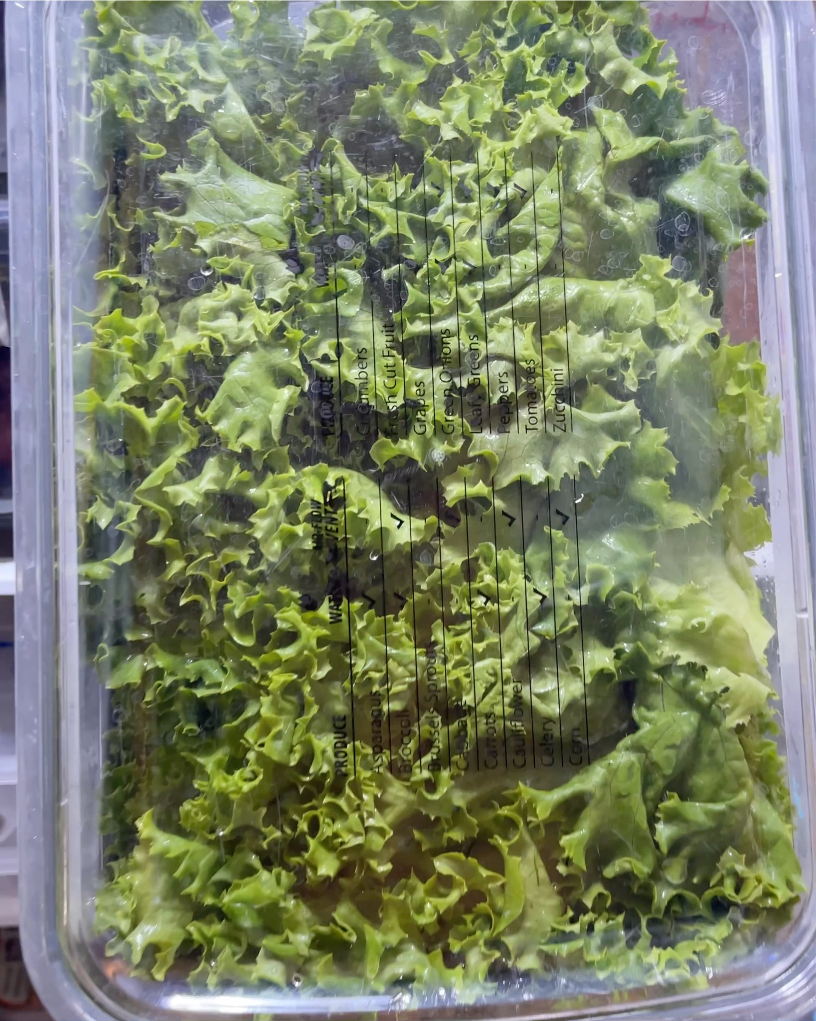 Gotta give our produce keepers a shout out! There’s produce storage containers and there’s these. They help keep lettuce crisper longer, grapes last for weeks, and we NEVER throw away moldy berries anymore! 

Related: refrigerator organizer, kitchen organization, food storage, produce, fruits and veggies, kitchen and pantry must haves 