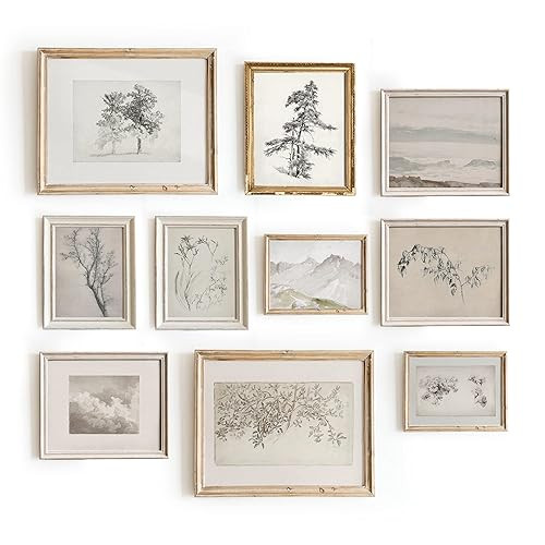 Set 10 Sketch Poster French Country Farmhouse Decor - French Botanical Art Prints, Vintage Wall A... | Amazon (US)