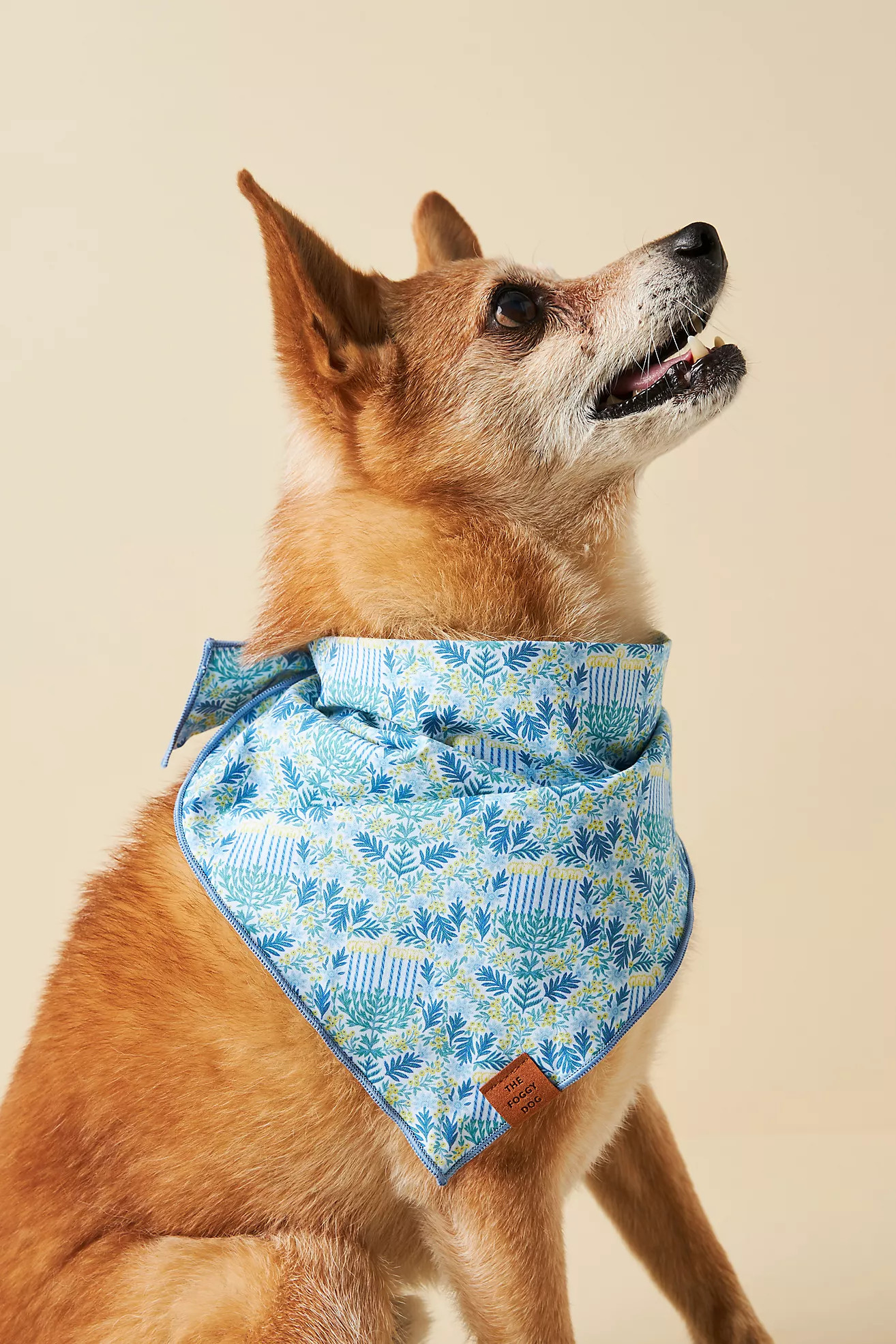 The Foggy Dog Holiday Bandana | Anthropologie (US)