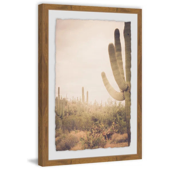 18" H x 12" W x 1.5" D Saguaro Sunrise by Ann Barnes - Picture Frame Photograph | Wayfair North America