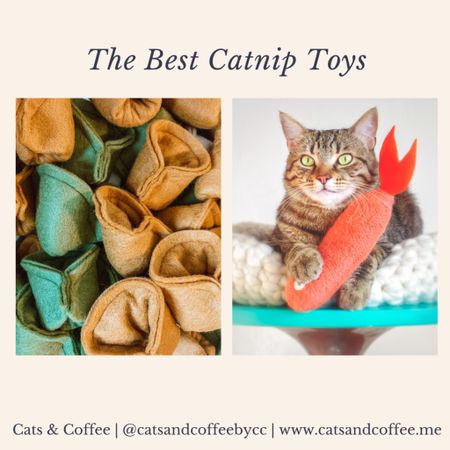 If you want to keep your cat entertained and happy, these catnip toys are the way to go. My cats are connoisseurs of catnip. All three are fans of catnip toys, and they have been pretty much since they were kittens. We’ve tried all kinds of catnip — loose nip, sprays, kicker toys, etc. Check out the best catnip toys and products according to my cats here!


#LTKFind #LTKfamily #LTKhome