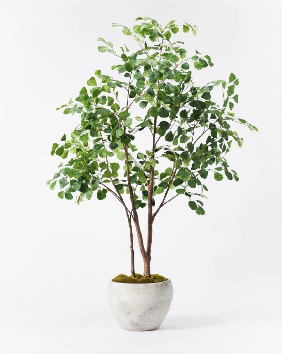 72” artificial ficus tree by Threshold

We love this artificial tree by studio McGee by threshold. It is on sale for target circle week. 

#targetcircle #targetcircleweek   

#LTKSaleAlert #LTKU #LTKHome