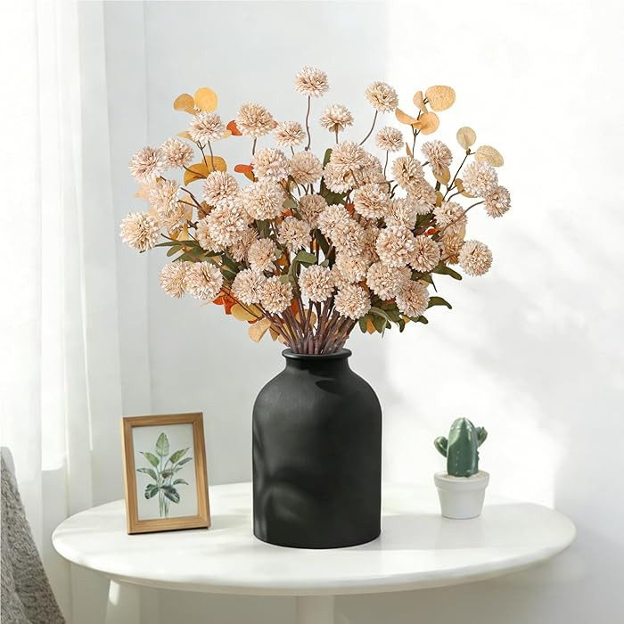 SOMYTING | Amazon (CA)