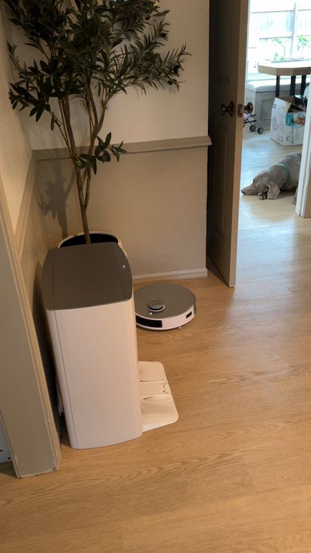 This little robot is so good at mopping that I almost never have to mop my floors anymore. It is the easiest floor cleaning solution ever.

#LTKVideo #LTKhome