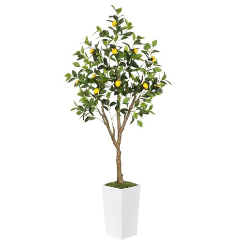PHYTREE 6FT Artificial Lemon Tree with Pot, Fake Lemon Tree with White Tall Planter, Faux Lemon Plant with Realistic Fruits and Silk Leaves, Artificial Plants Indoor for Home Office Kitchen Decor | Amazon (US)