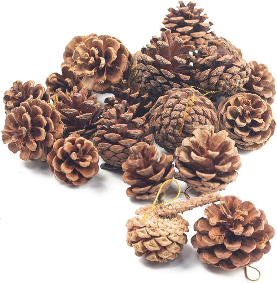 JOHOUSE 18PCS Hanging Natural Pine Cones (1.5"–2.5"), Rustic Pinecones with Strings for Fall Ga... | Amazon (US)