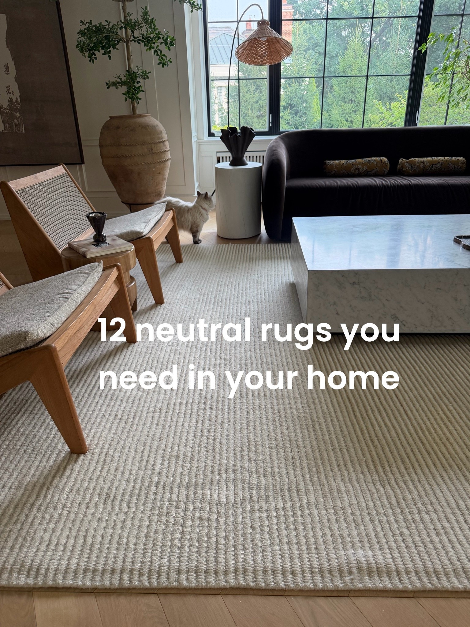 So
Many great neutral rugs

#LTKHome #LTKSaleAlert #LTKSeasonal