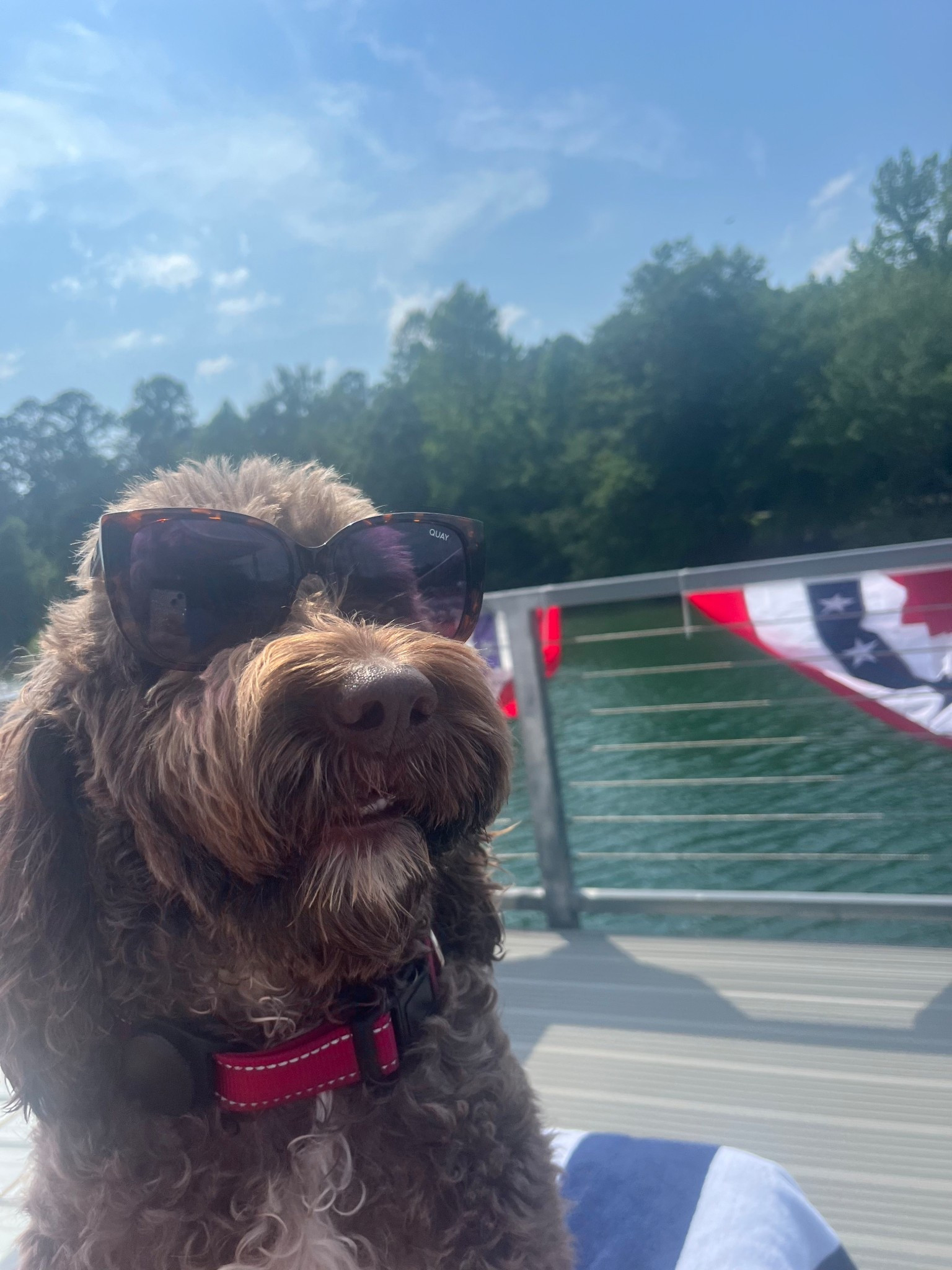 My favorite Quay sunglasses!😎 Ever after with tortoise frame 

#LTKStyleTip