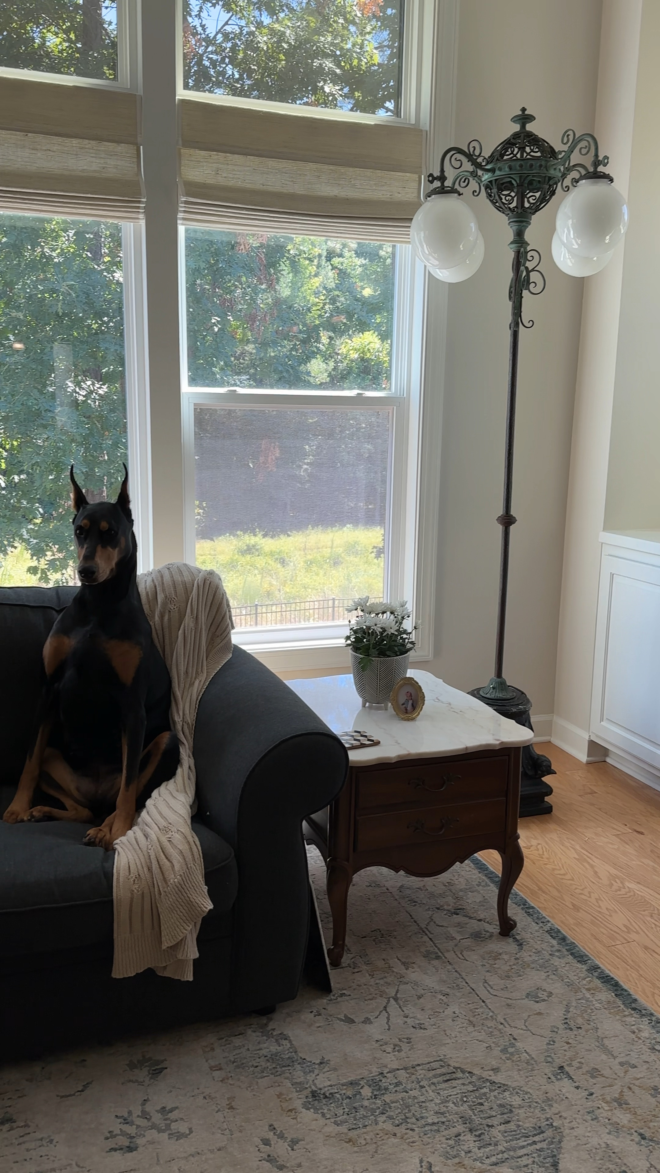 Our living room details! 

Sectional sofa in the color “graphite”

Area rug, vintage inspired mini frame, designer-inspired pillows, cocktail side table 

Dog not linked 😜

#LTKStyleTip #LTKHome #LTKFamily