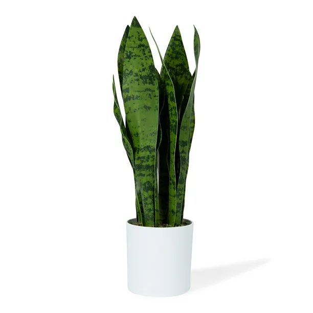 Flybold Faux Snake Plant - Large Indoor Floor Plant with 7 Tall Leaves and Durable Pot - Artifici... | Walmart (US)