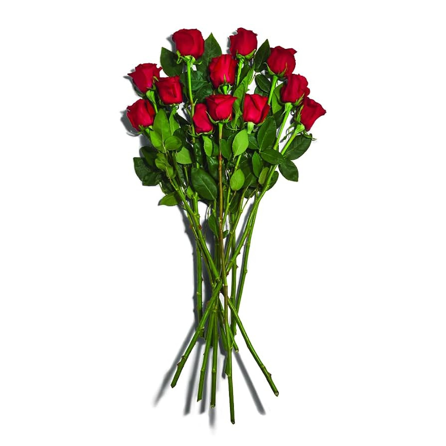Floral Rose 12 Stems 60cm, 1 EA | Amazon (US)