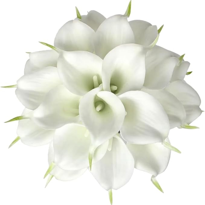 Floral Kingdom 20 Pack Artificial Calla Lily Flowers 14 Inch White - Real Touch Faux Flowers for ... | Amazon (US)