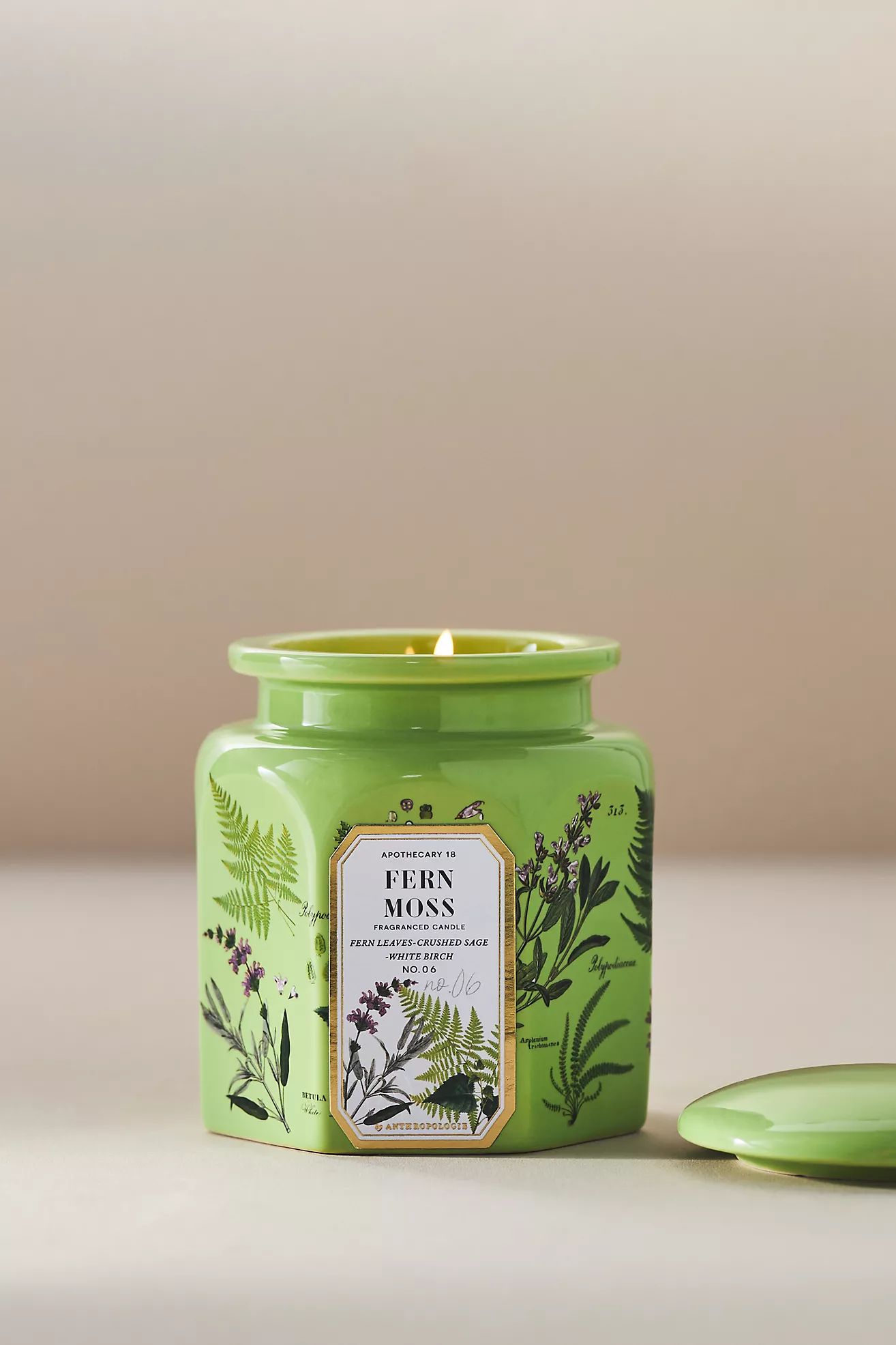 Apothecary 18 Fresh Fern Moss Ceramic Jar Candle | Anthropologie (US)