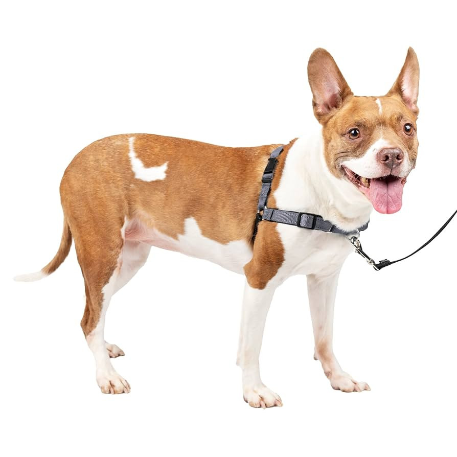 PetSafe Easy Walk Deluxe Dog Harness, No Pull Dog Harness – Perfect for Leash & Harness Trainin... | Amazon (US)