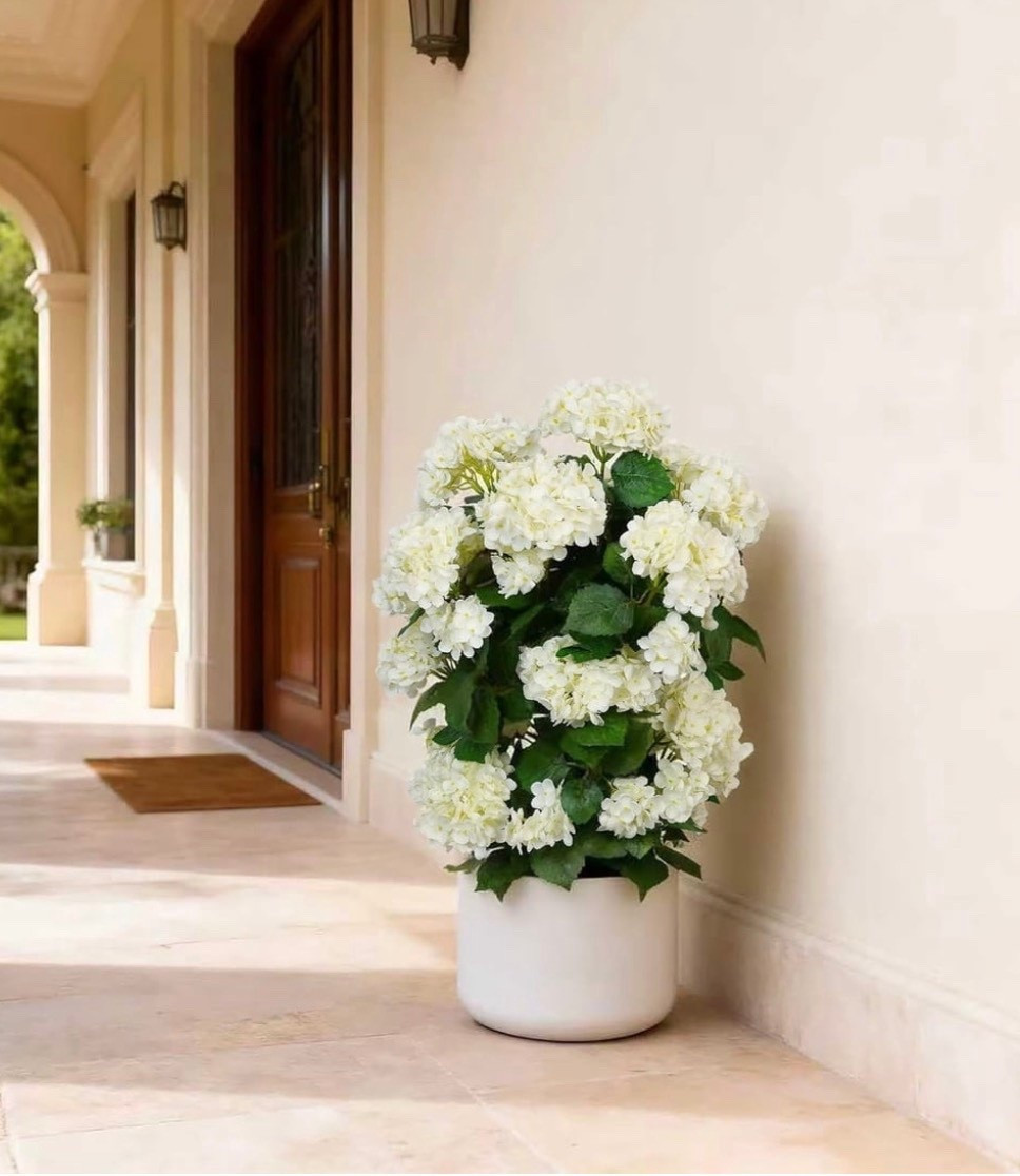 This faux hydrangea tree stands 30 inches tall and features full white hydrangea blooms with layered petals and lush green leaves. Designed as a true hydrangea tree artificial, it delivers a natural, elegant look from every angle. 【UV Resistant for Indoor & Outdoor Use】Crafted from fade-resistant materials, this outdoor hydrangea artificial plants solution maintains vibrant color and shape through sun and weather exposure. Perfect for porches, patios, entryways, and garden corners. 【30 Inch Size with Versatile Display】With a balanced 30-inch height and stable pot base, this faux hydrangea plant works beautifully as a floor accent, corner decor, or porch statement piece—ideal for both indoor and outdoor decorating. 【Durable & Safe Construction】Made from eco-friendly, flame-retardant materials, this artificial hydrangea tree is safe for homes with pets while offering long-lasting durability for year-round display. 【Zero Maintenance, Year-Round Beauty】No watering, pruning, or sunlight required. Simply wipe clean to keep this faux hydrangea tree looking fresh—an effortless way to enjoy elegant greenery indoors or outdoors all year long

#LTKSeasonal #LTKHome