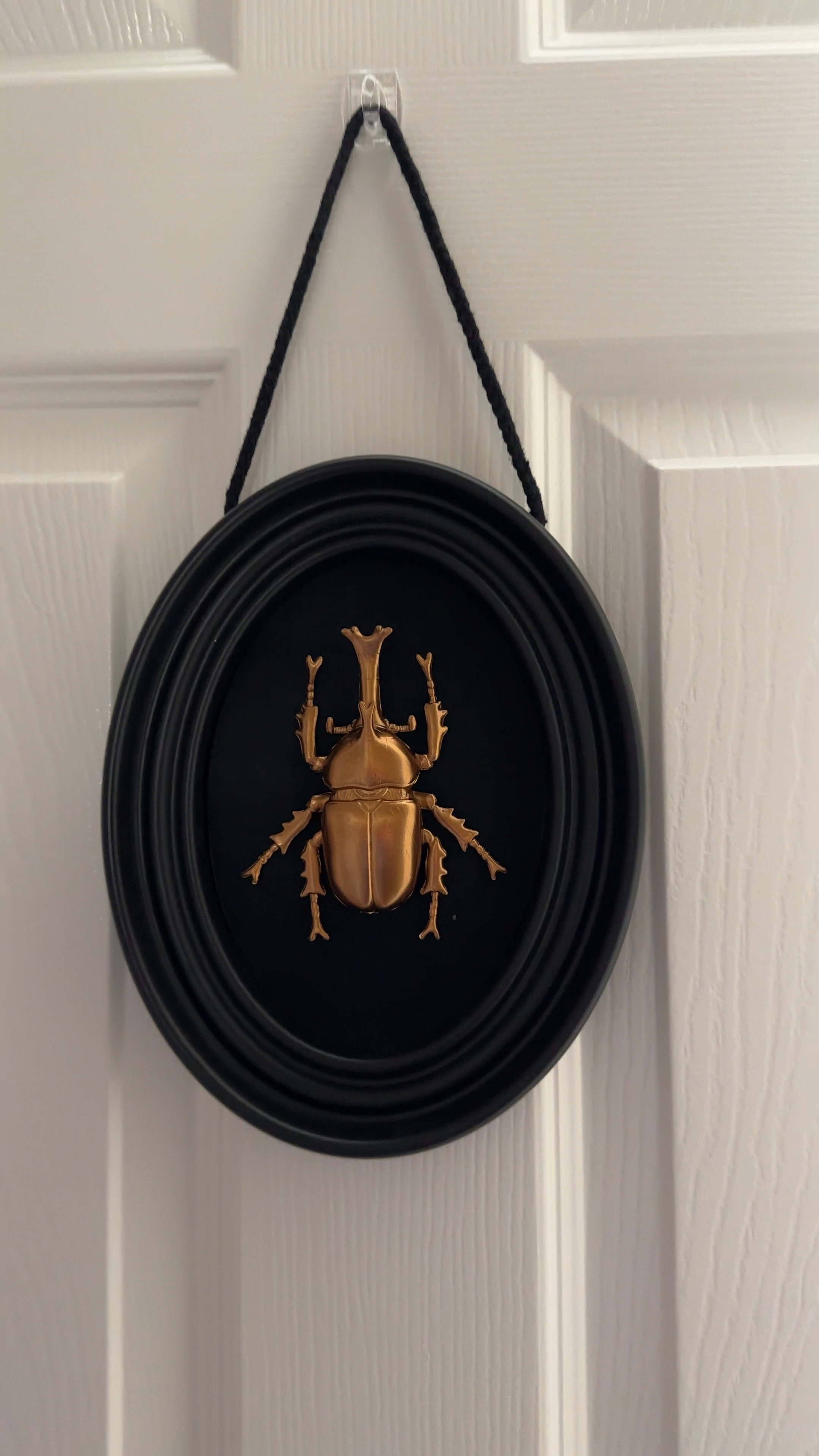 Halloween wall decor for kids rooms.

Fake beetle wall art. Command hooks to hang art.

#LTKHome #LTKFindsUnder50 #LTKKids