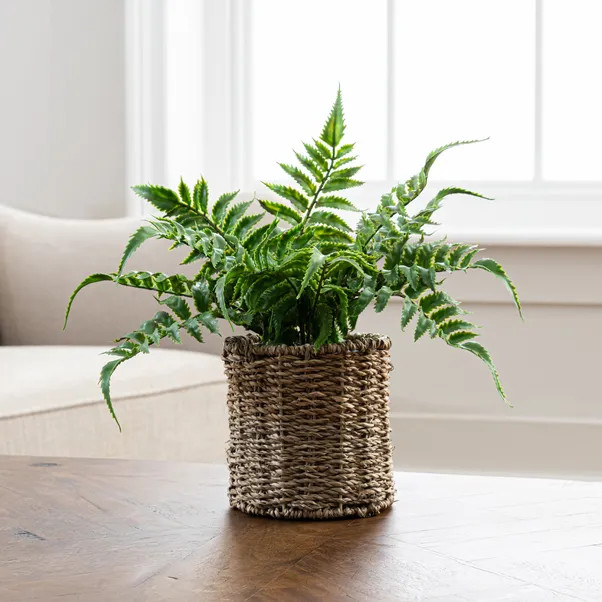 Artificial Fern in Rattan Plant Pot | Dunelm