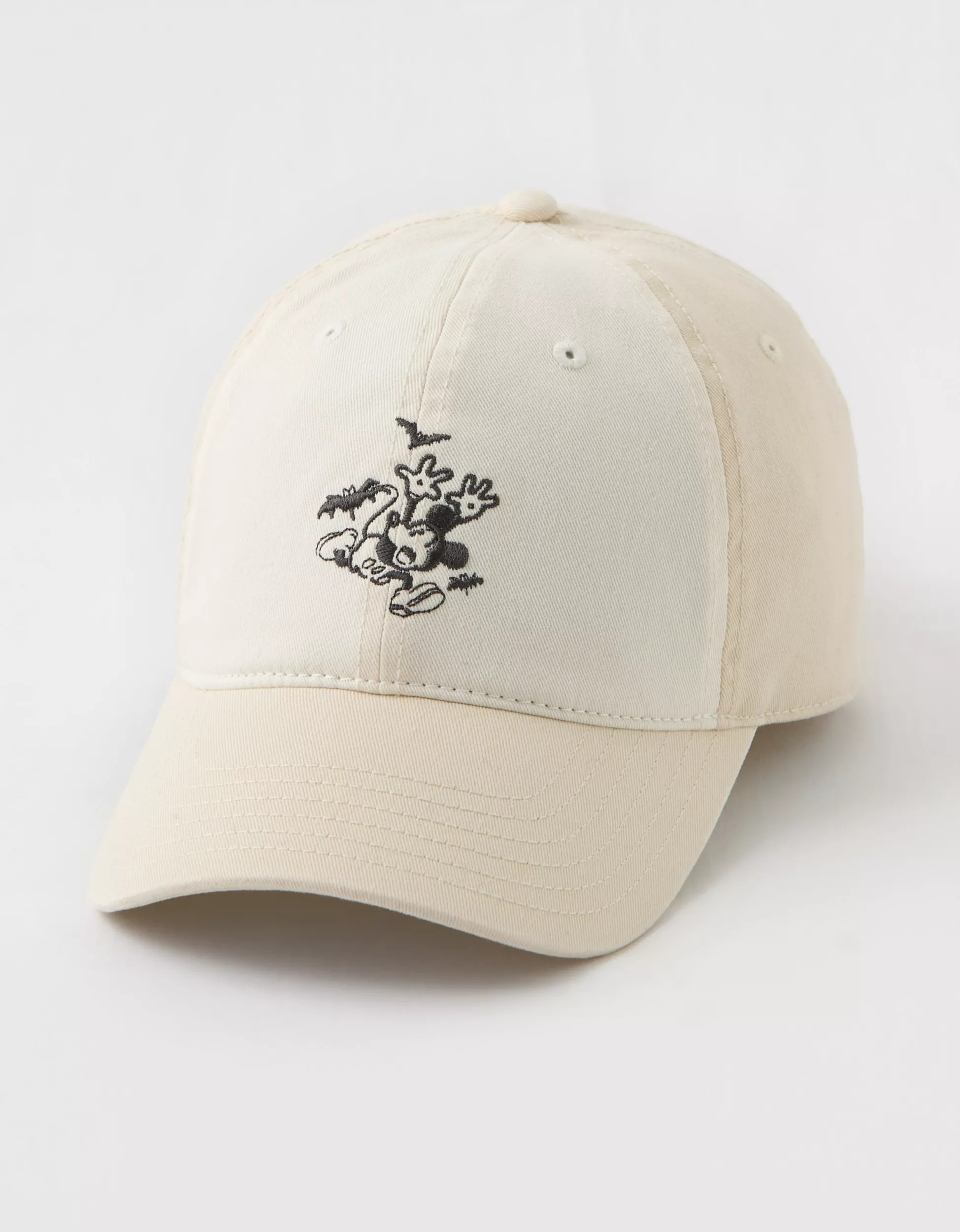 Aerie Colorblock Baseball Hat | American Eagle Outfitters (US & CA)